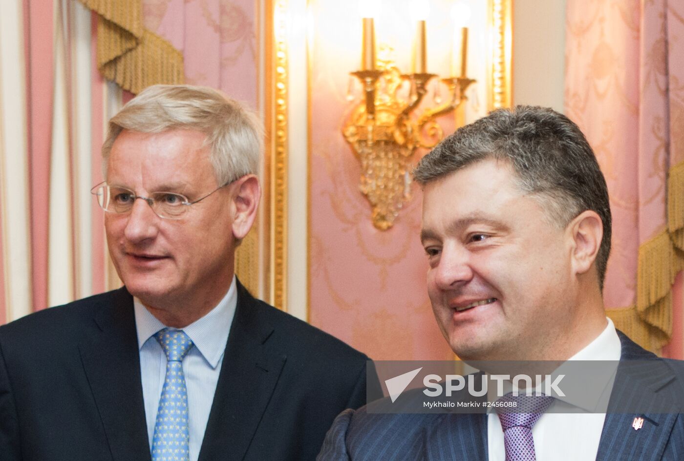 Ukrainian President Petro Poroshenko meets with Swedish Foreign Minister Carl Bildt
