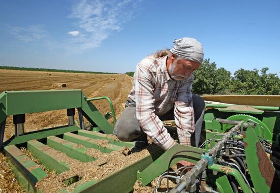 Harvesting grain crops in Crimea
