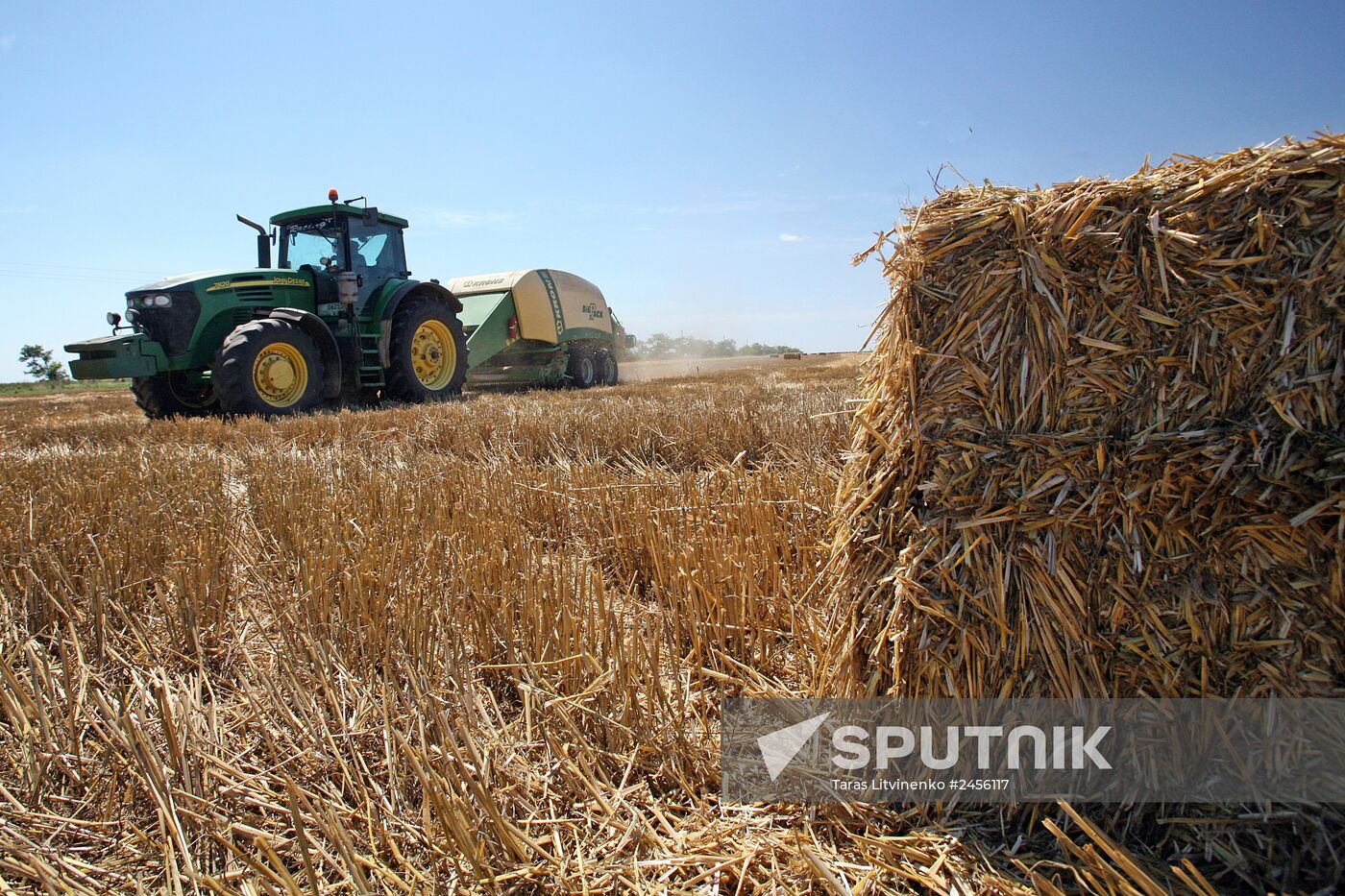 Harvesting grain crops in Crimea