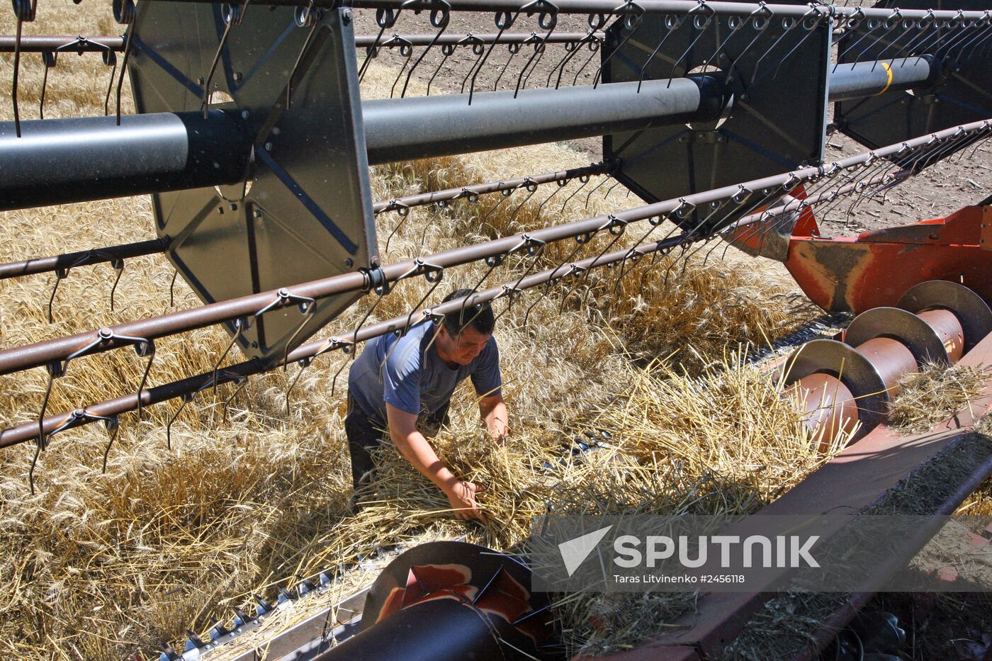 Harvesting grain crops in Crimea