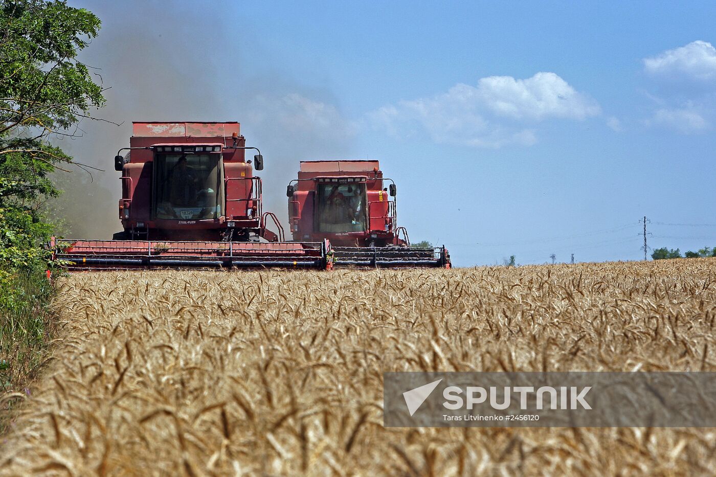 Harvesting grain crops in Crimea