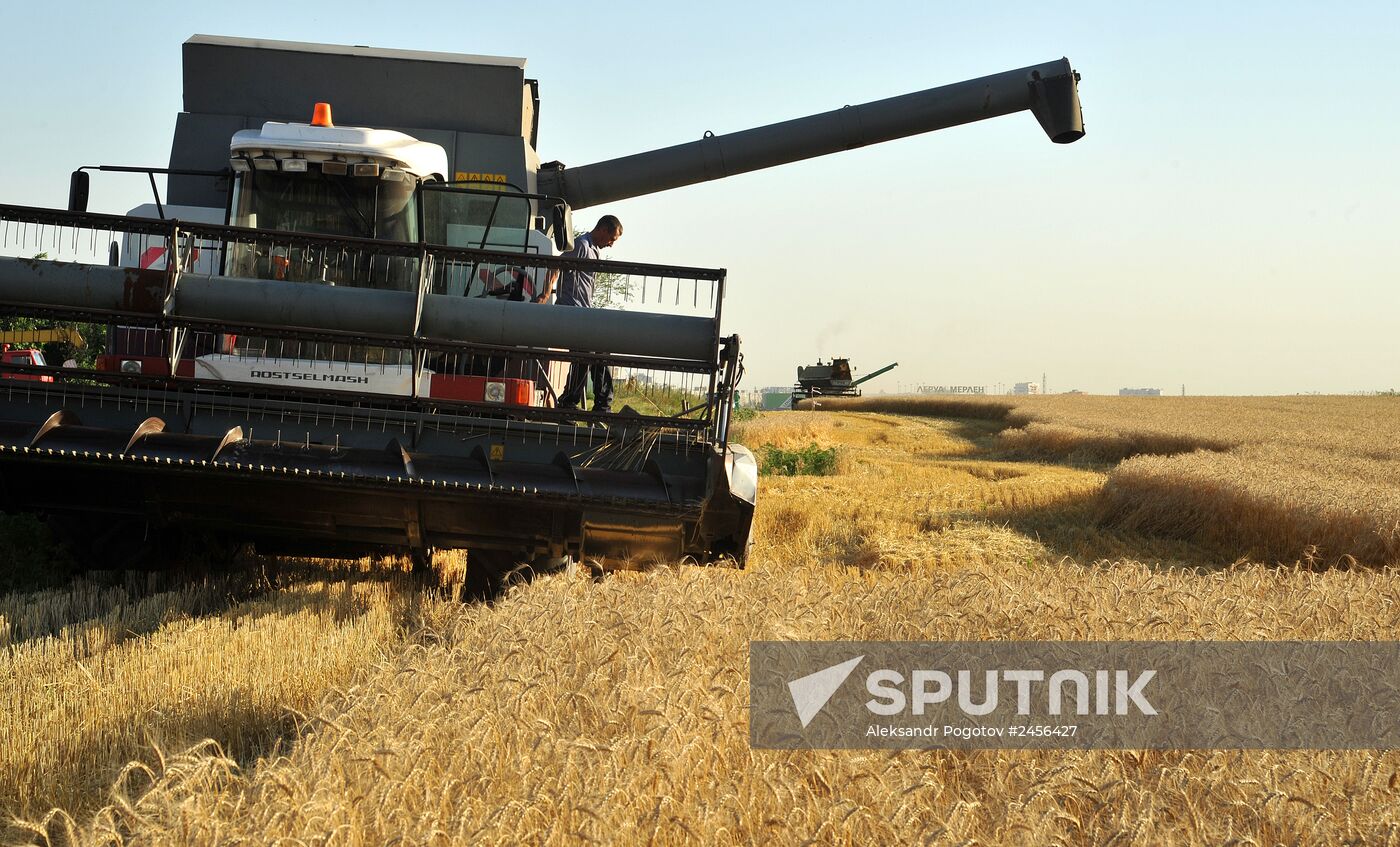 Grain harvesting in the Rostov region