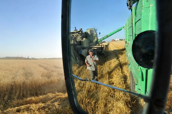Grain harvesting in the Rostov region