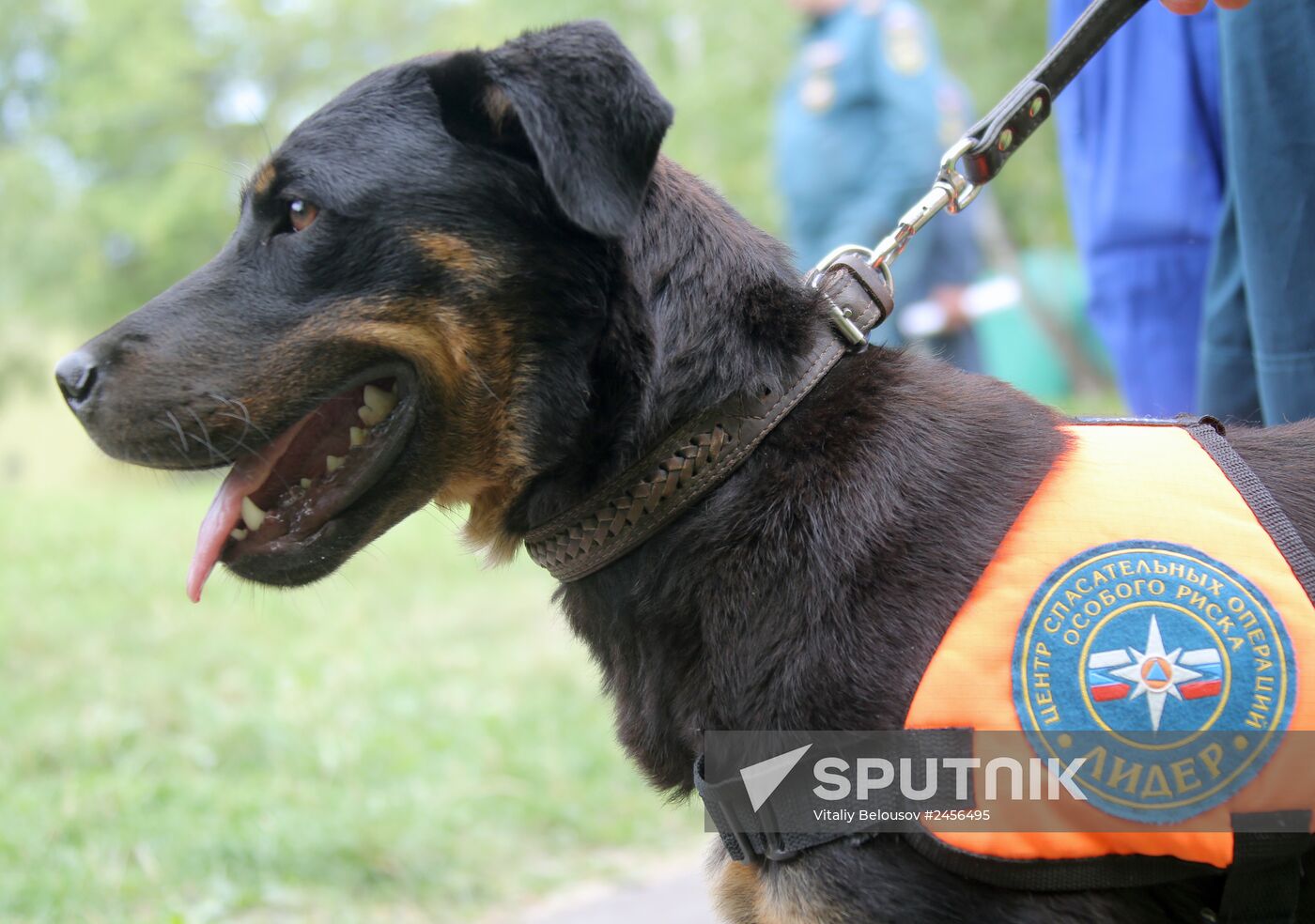 Exercise involving canine squads of Russian Emergencies Ministry