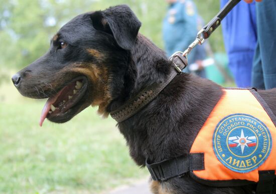 Exercise involving canine squads of Russian Emergencies Ministry