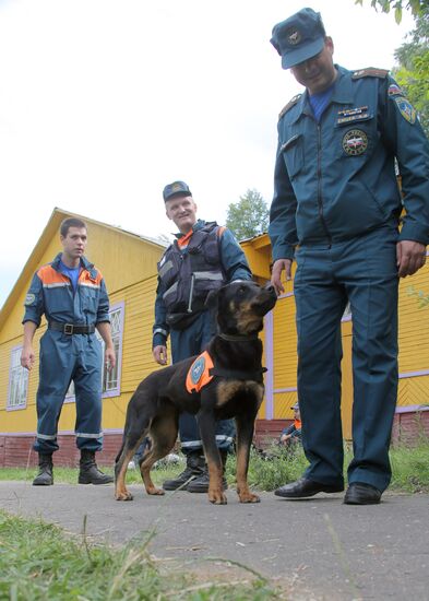 Exercise involving canine squads of Russian Emergencies Ministry