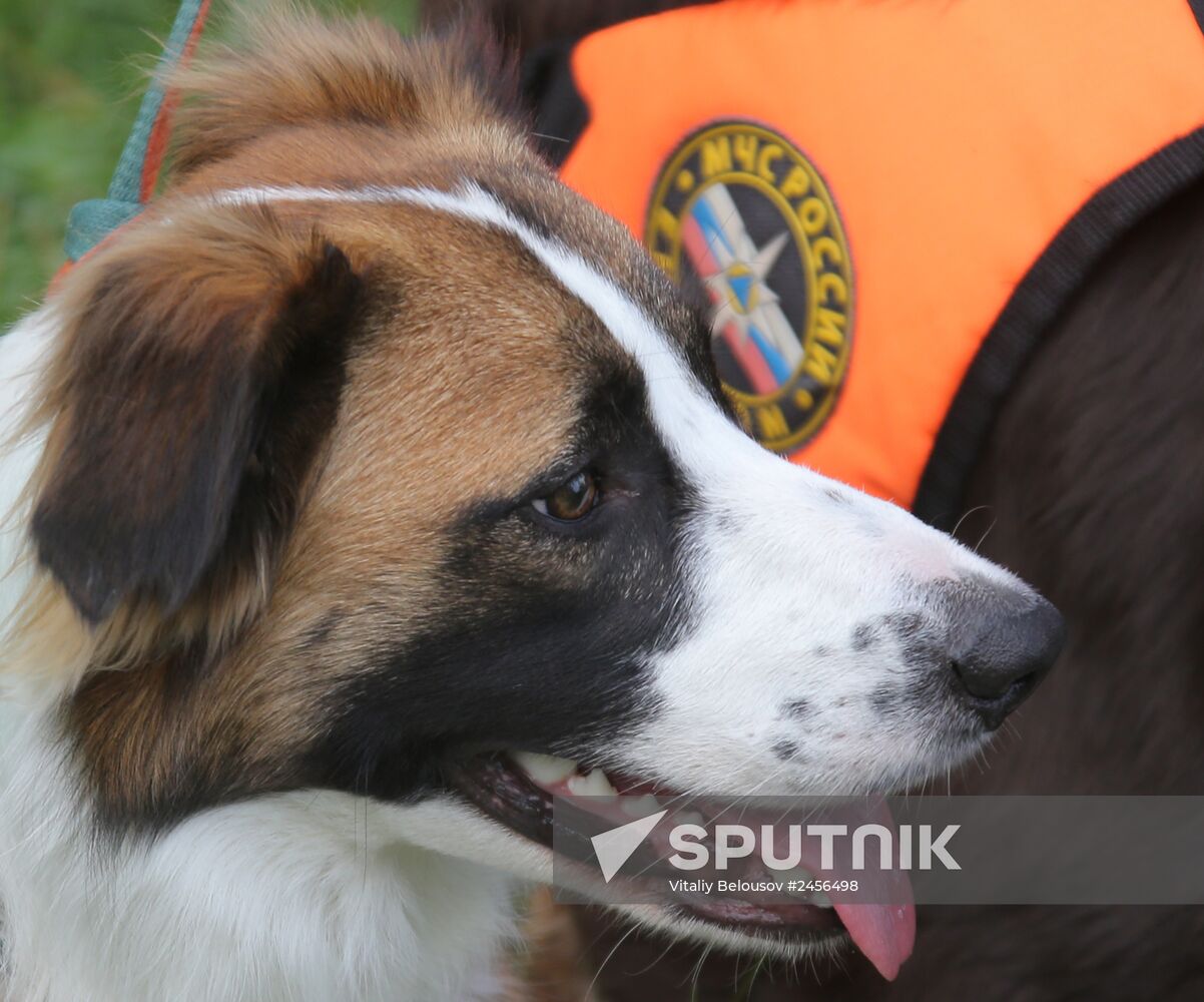 Exercise involving canine squads of Russian Emergencies Ministry