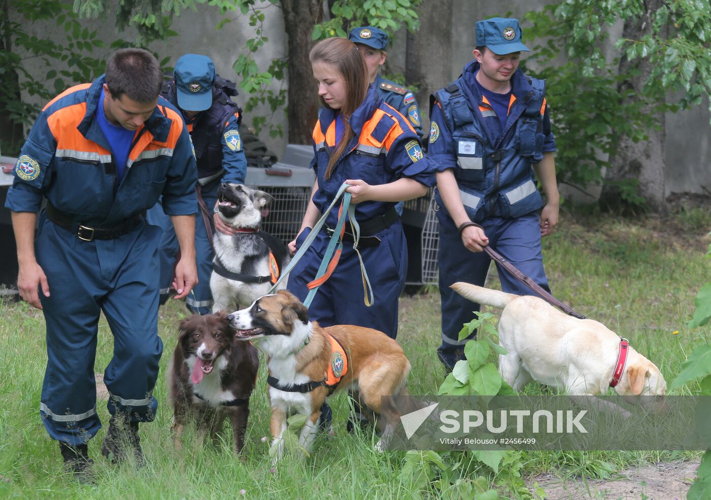 Exercise involving canine squads of Russian Emergencies Ministry