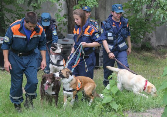Exercise involving canine squads of Russian Emergencies Ministry