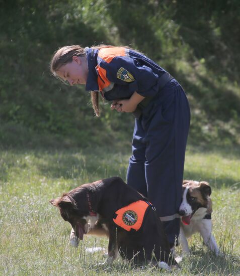 Exercise involving canine squads of Russian Emergencies Ministry