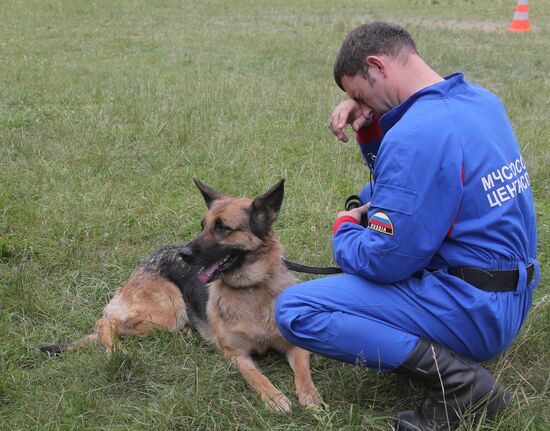 Exercise involving canine squads of Russian Emergencies Ministry