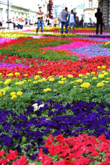 Flower festival in Moscow