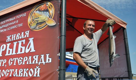 Ethnographic festival Donskaya Ukha (Don Fish Soup) in Rostov Region