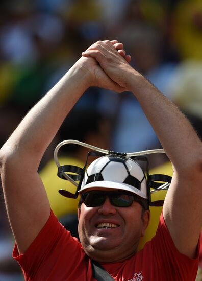 FIFA World Cup 2014. Argentina - Belgium