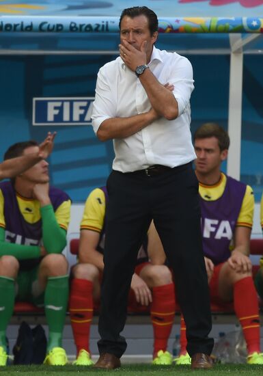 FIFA World Cup 2014. Argentina vs. Belgium