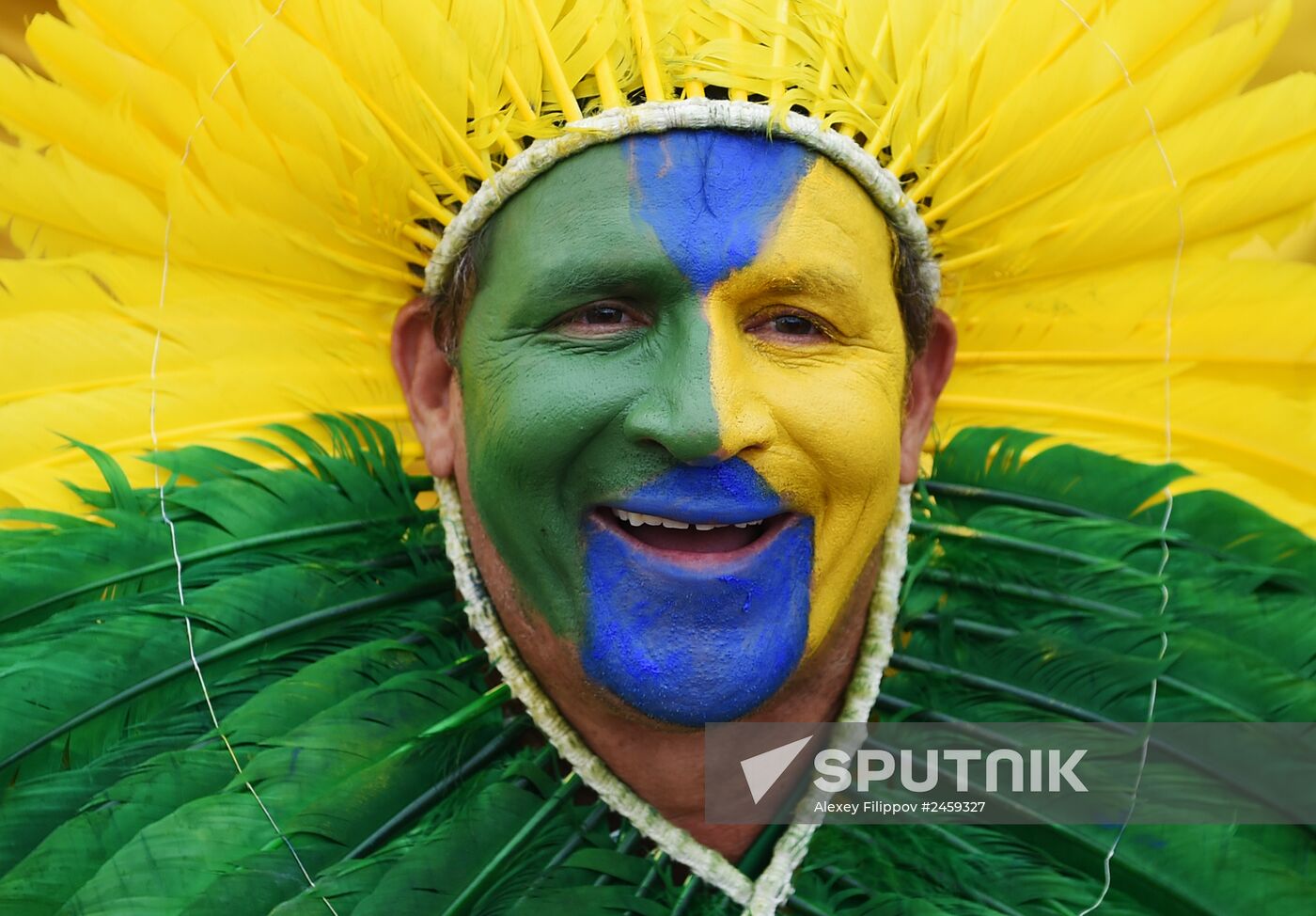 Football. 2014 World Cup. Brazil vs. Germany