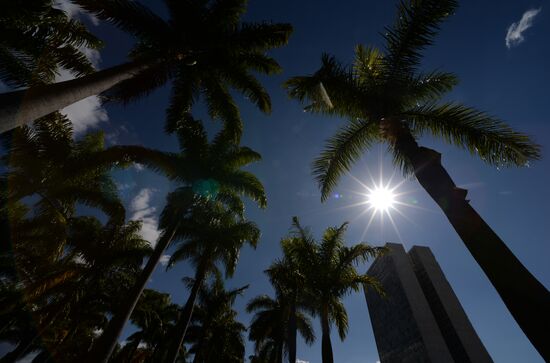 Cities of the world. Brasilia