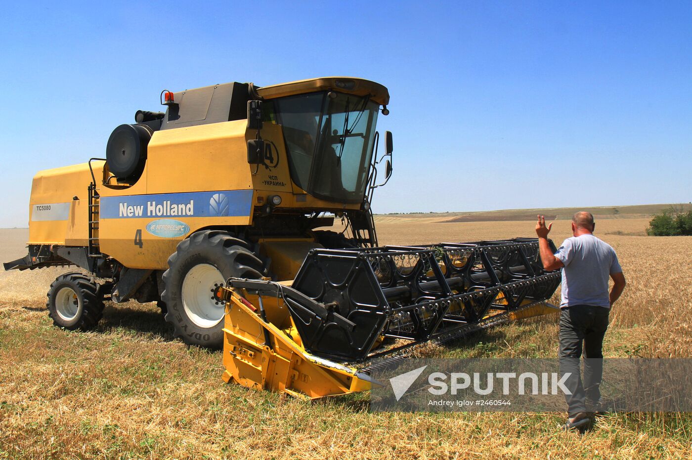 Harvesting grain crops in Crimea