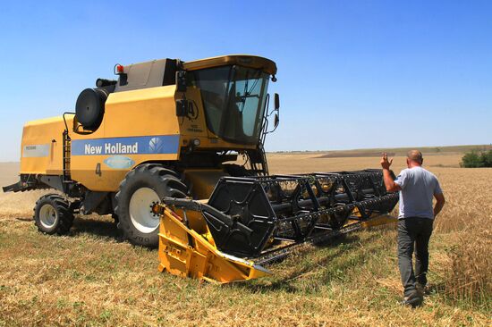 Harvesting grain crops in Crimea