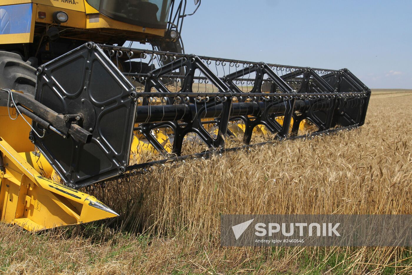 Harvesting grain crops in Crimea