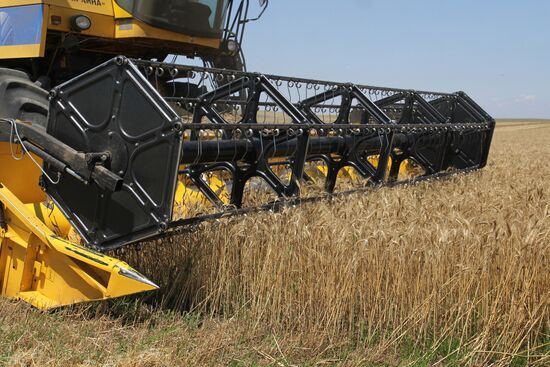 Harvesting grain crops in Crimea