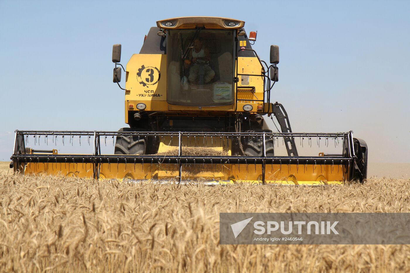Harvesting grain crops in Crimea