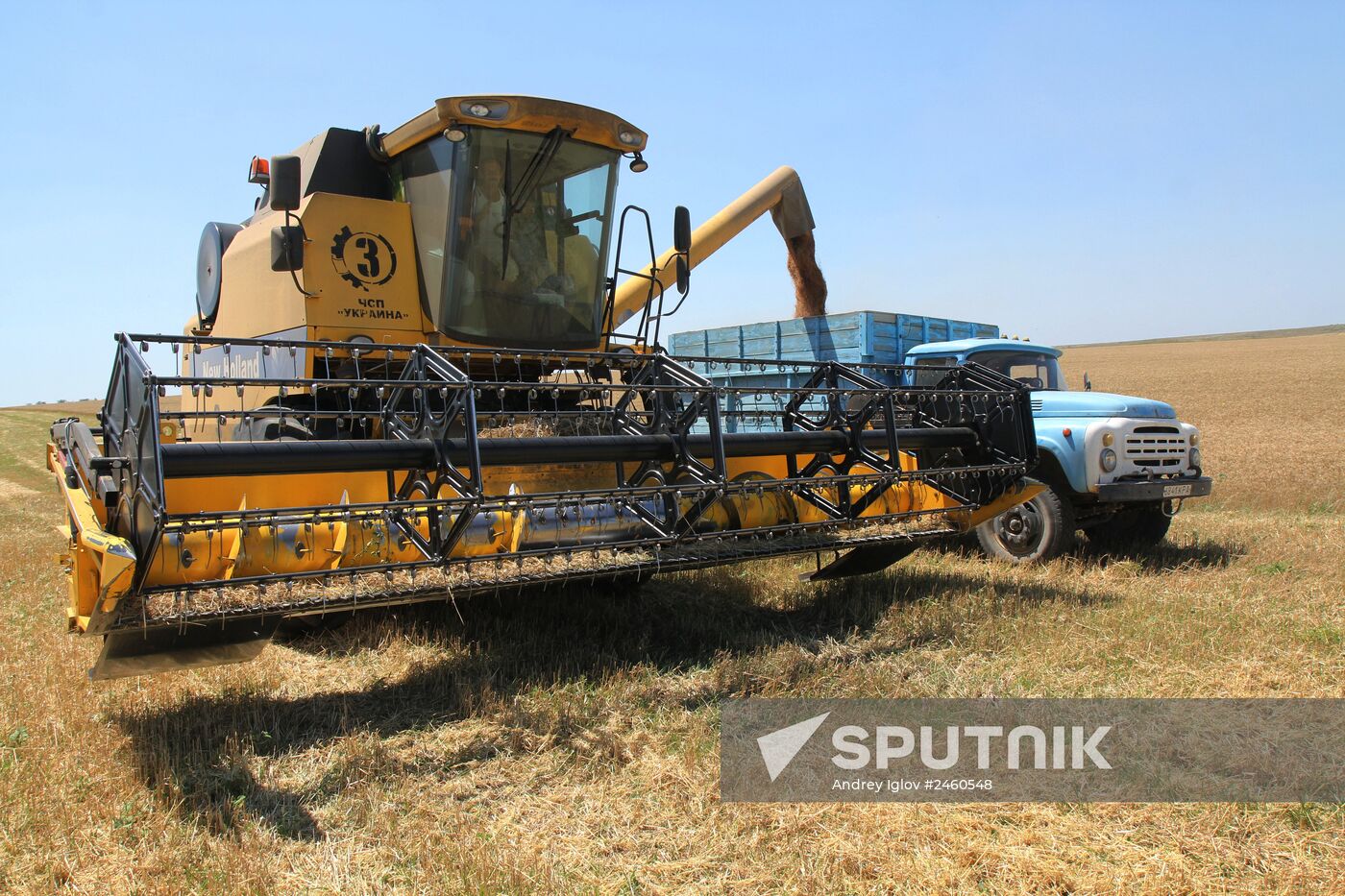 Harvesting grain crops in Crimea