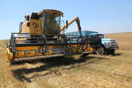 Harvesting grain crops in Crimea