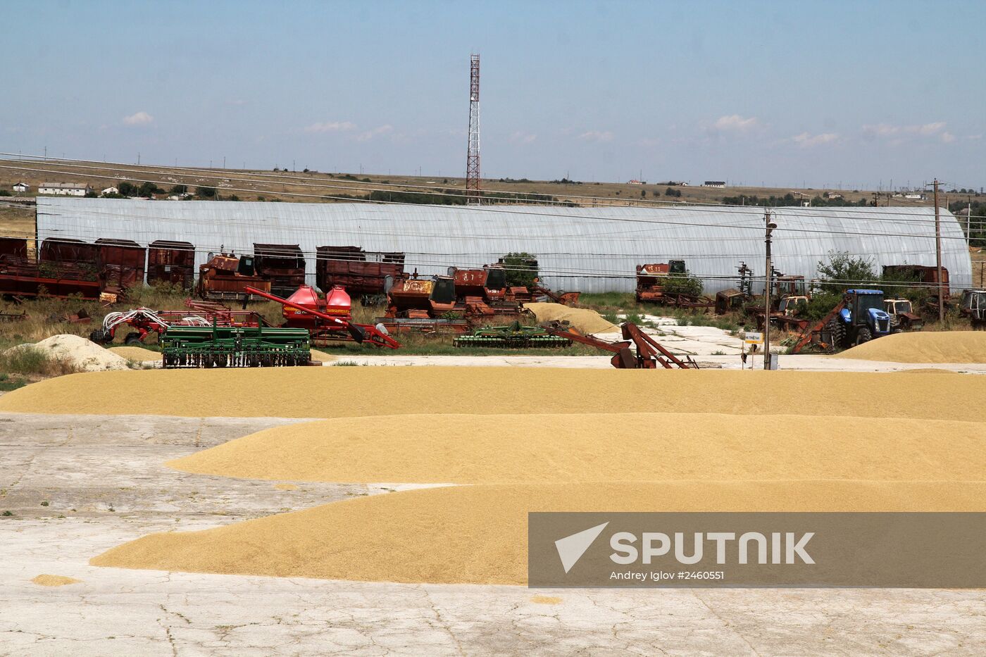 Harvesting grain crops in Crimea