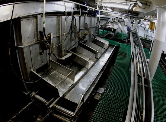 The Vsevolod Sibirtsev floating fish-processing factory