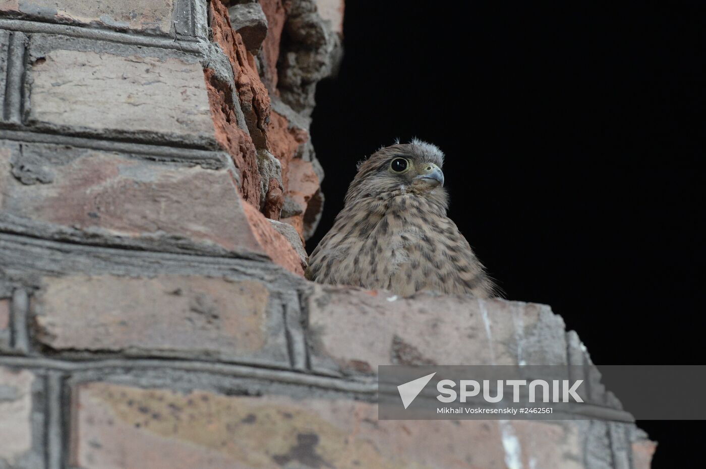 Donetsk Region update