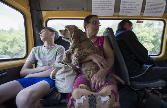 The work of a shuttle taxi driver in Omsk, Russia
