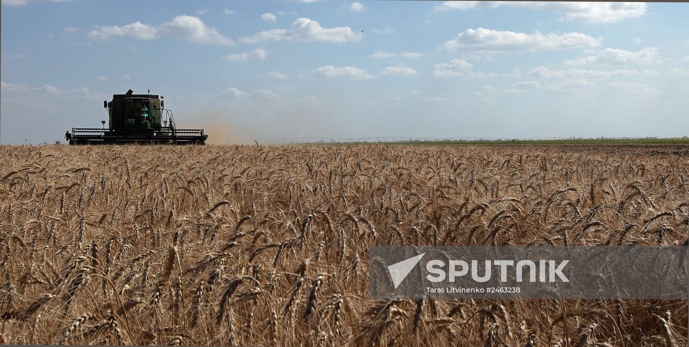 Harvesting grain crops in Crimea