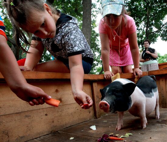 Petting zoo in Vladivostok