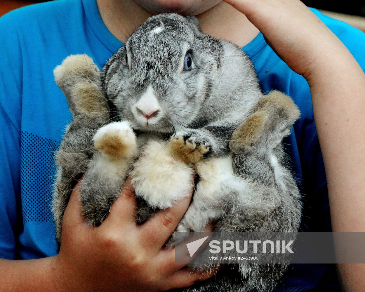 Petting zoo in Vladivostok