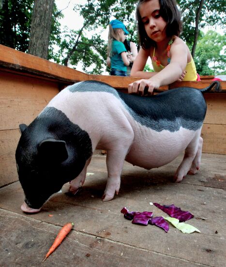 Petting zoo in Vladivostok