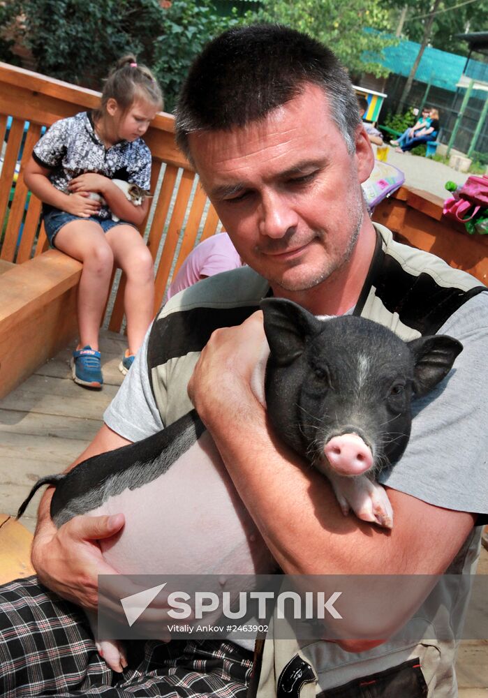 Petting zoo in Vladivostok