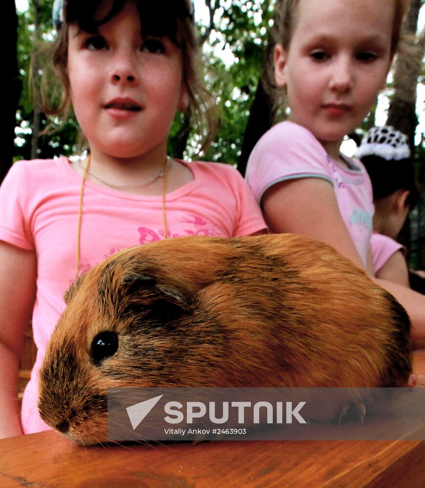 Petting zoo in Vladivostok
