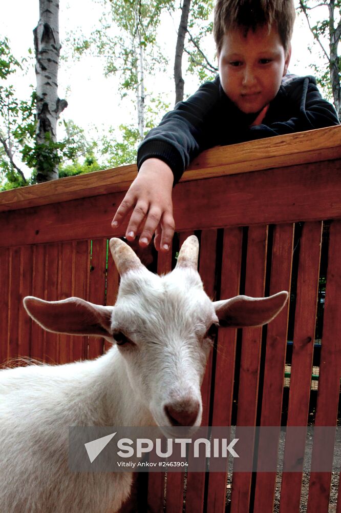Petting zoo in Vladivostok