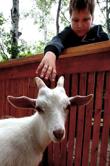 Petting zoo in Vladivostok