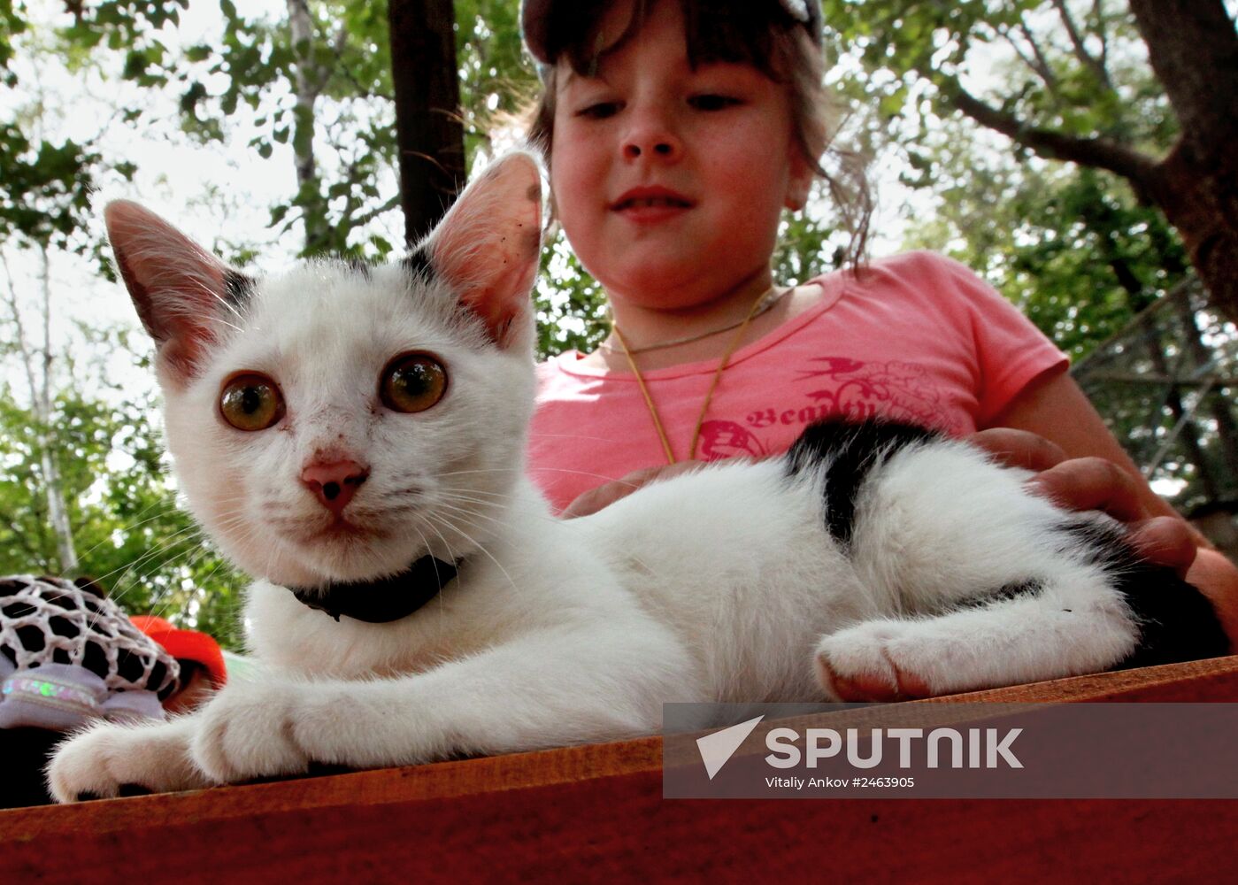 Petting zoo in Vladivostok