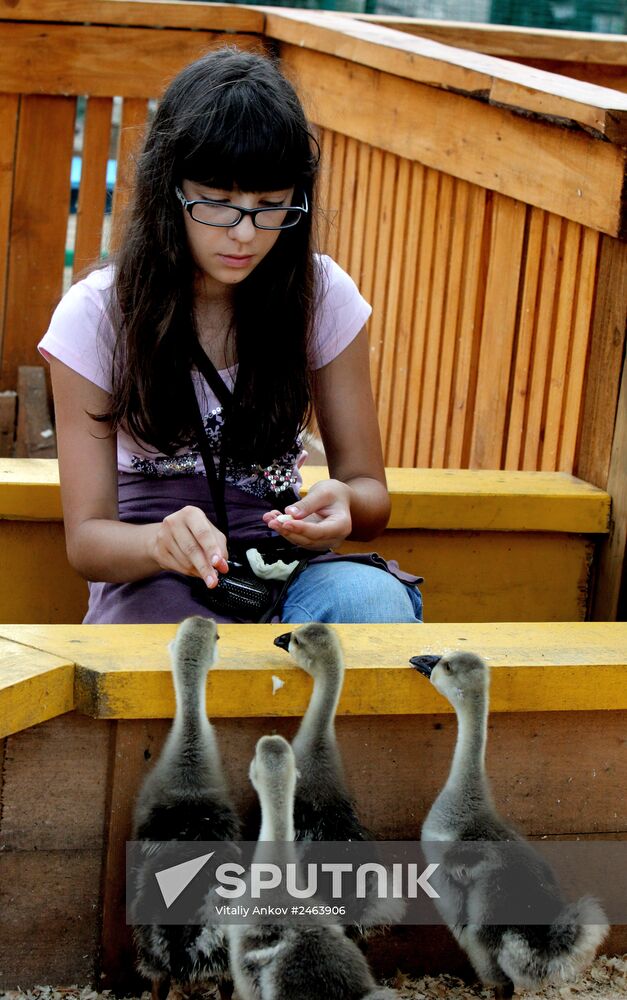 Petting zoo in Vladivostok