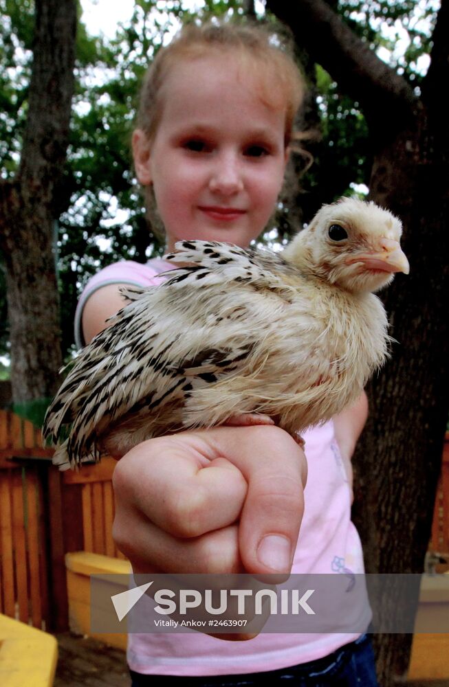 Petting zoo in Vladivostok