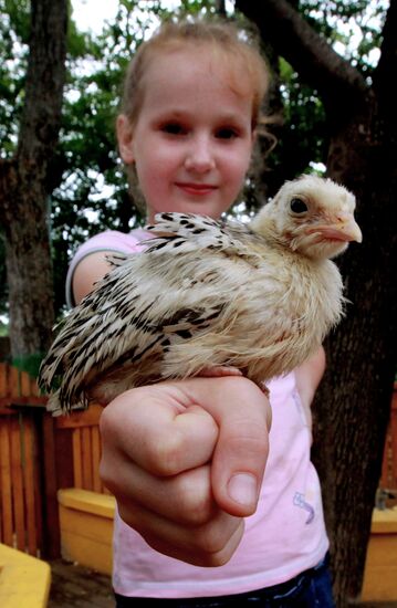 Petting zoo in Vladivostok