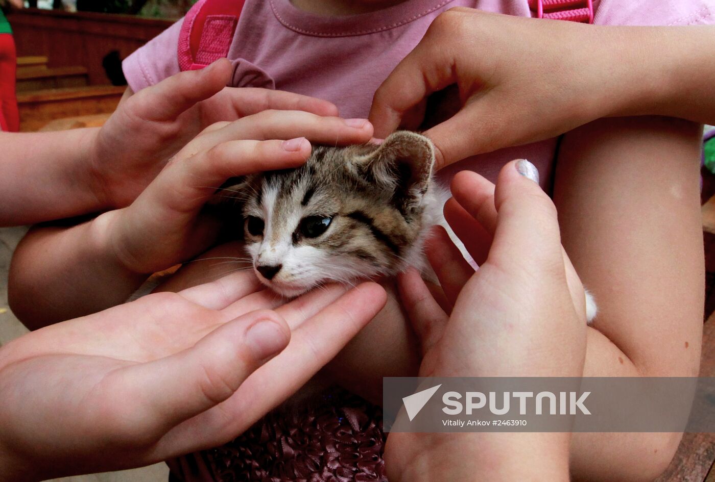 Petting zoo in Vladivostok