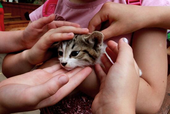 Petting zoo in Vladivostok