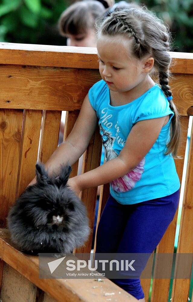 Petting zoo in Vladivostok