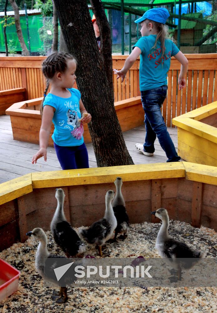 Petting zoo in Vladivostok