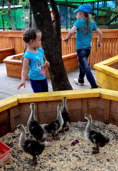 Petting zoo in Vladivostok