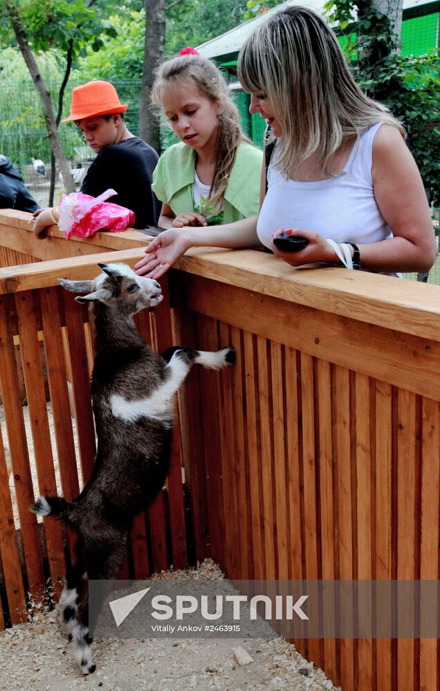 Petting zoo in Vladivostok